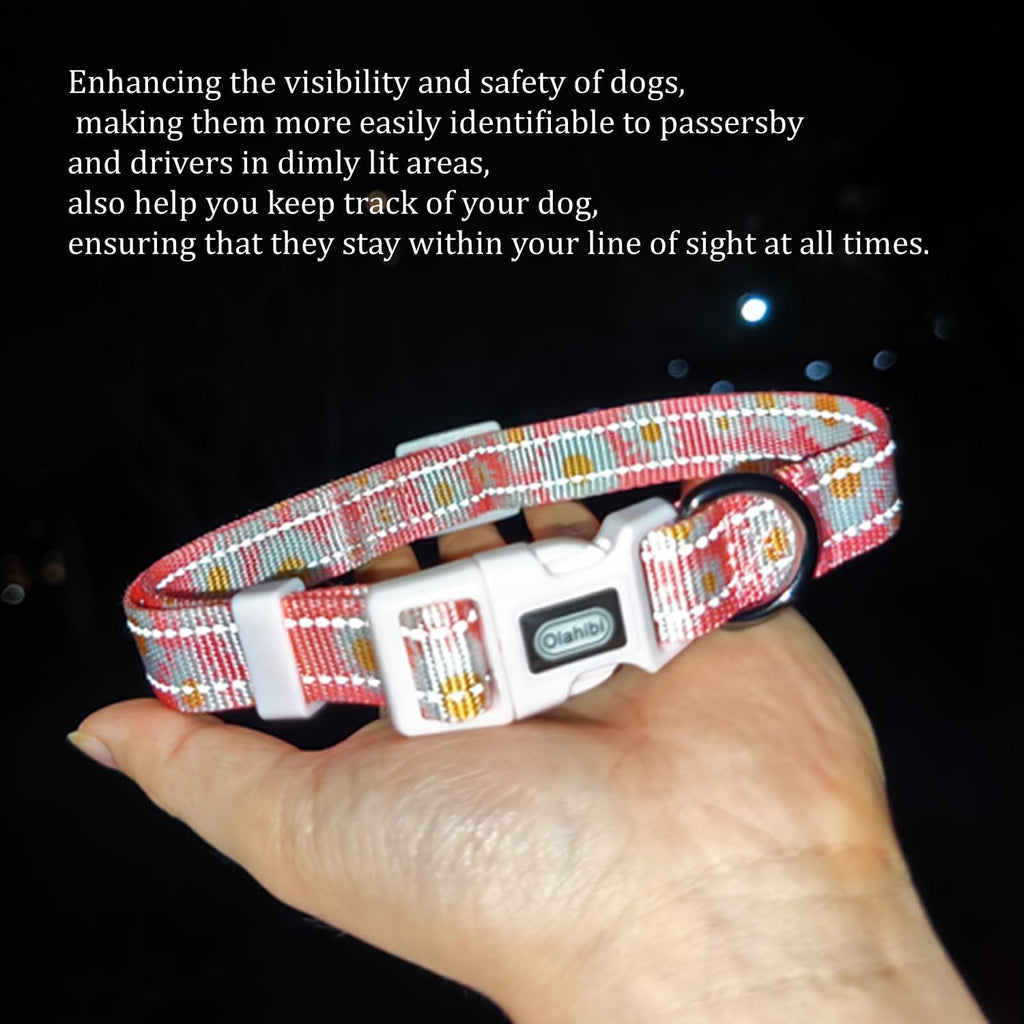 Olahibi Daisy Pattern Dog Collar and Leash | ObaPet
