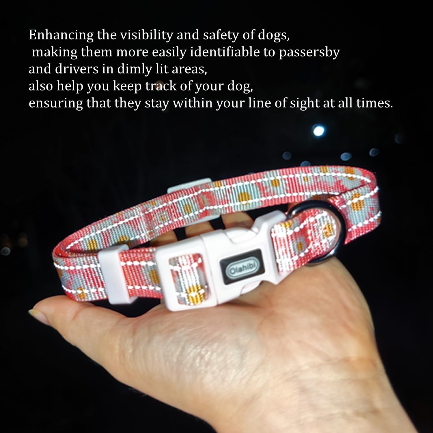Olahibi Daisy Pattern Dog Collar and Leash | ObaPet