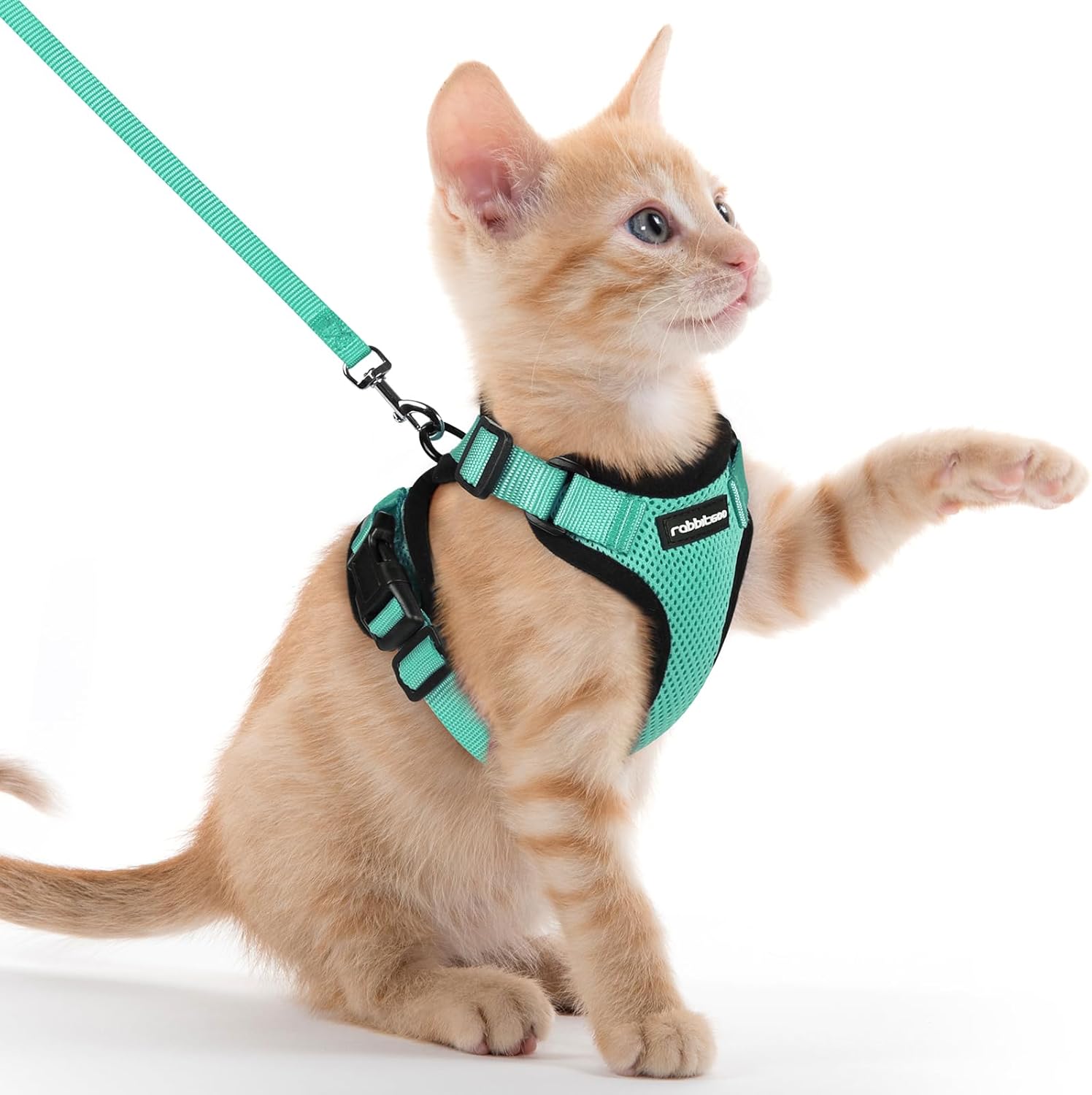 rabbitgoo Cat Harness and Lead Set, Escape Proof | ObaPet
