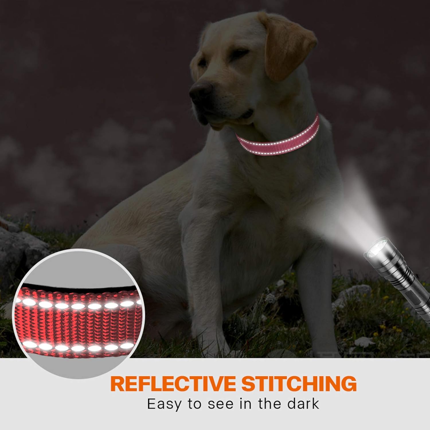 Taglory Reflective Nylon Dog Collar with Safety | ObaPet