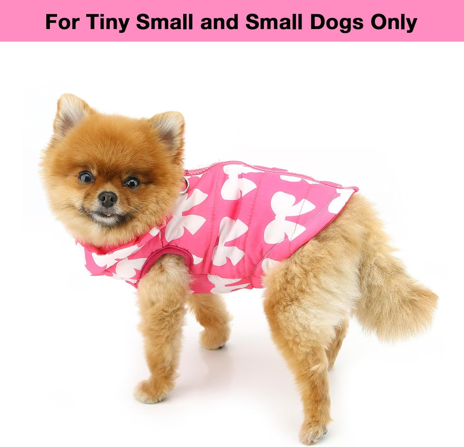 SMALLLEE_LUCKY_STORE Small Dog Cat Winter Coat Harness Jacket with D-ring Boy Girl Pet Puppy Comfort Padded Bomber Vest No Pull Chihuahua Clothes Pink Bows XS