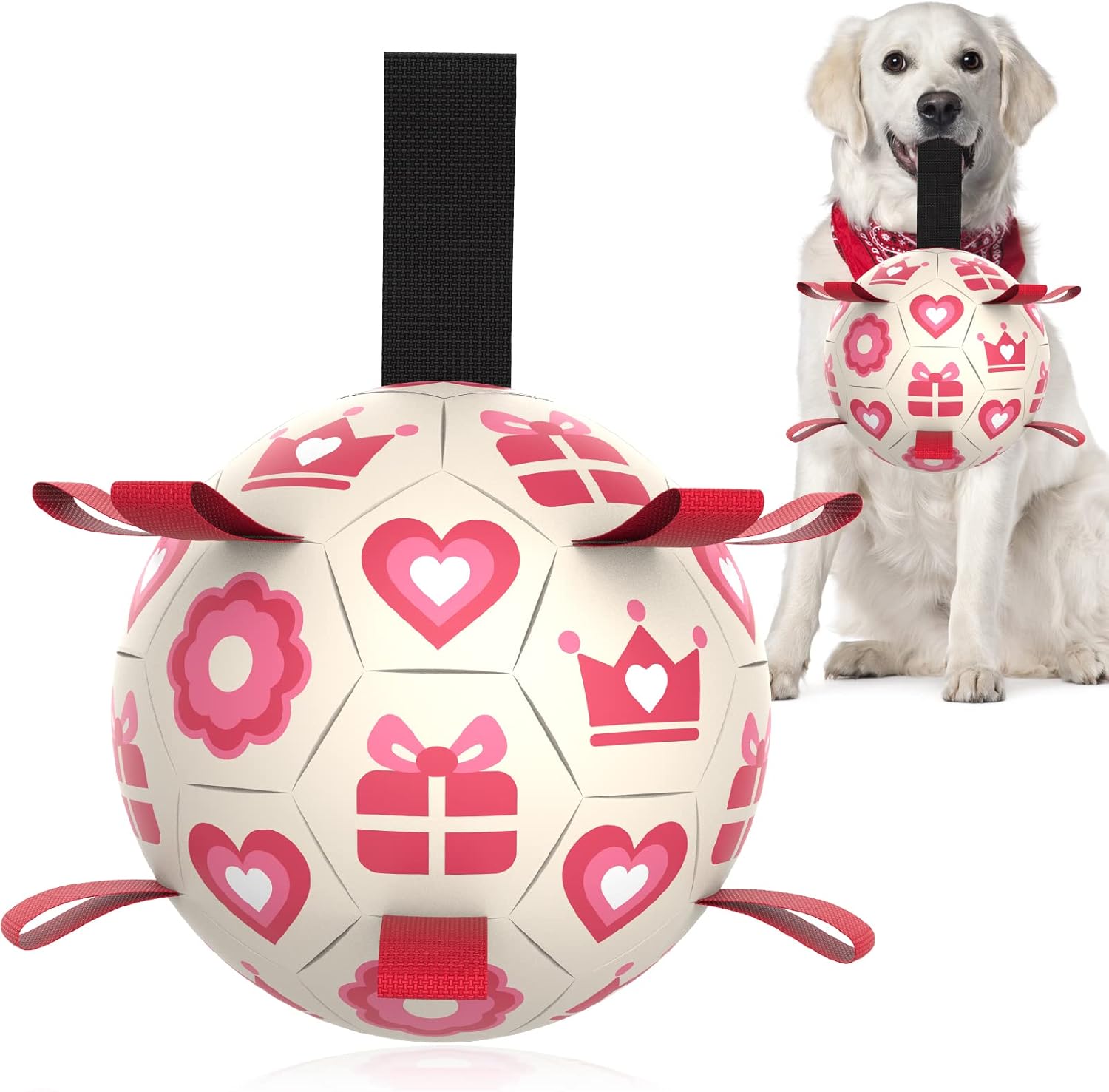 HETOO Interactive Dog Football Toys with Grab Tabs, Durable Dog Water Balls for Small Medium Breed, Indoor & Outdoor