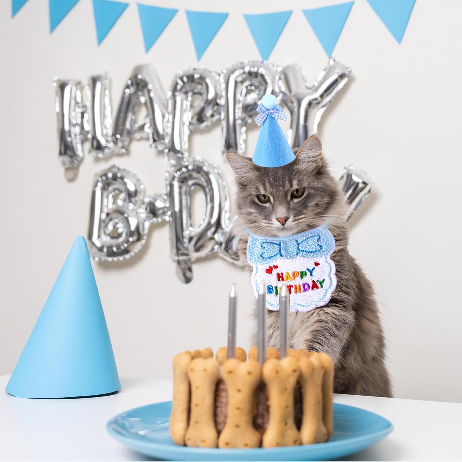 Small Dog Cat Birthday Hat Scarf Set,Cute Cat | ObaPet