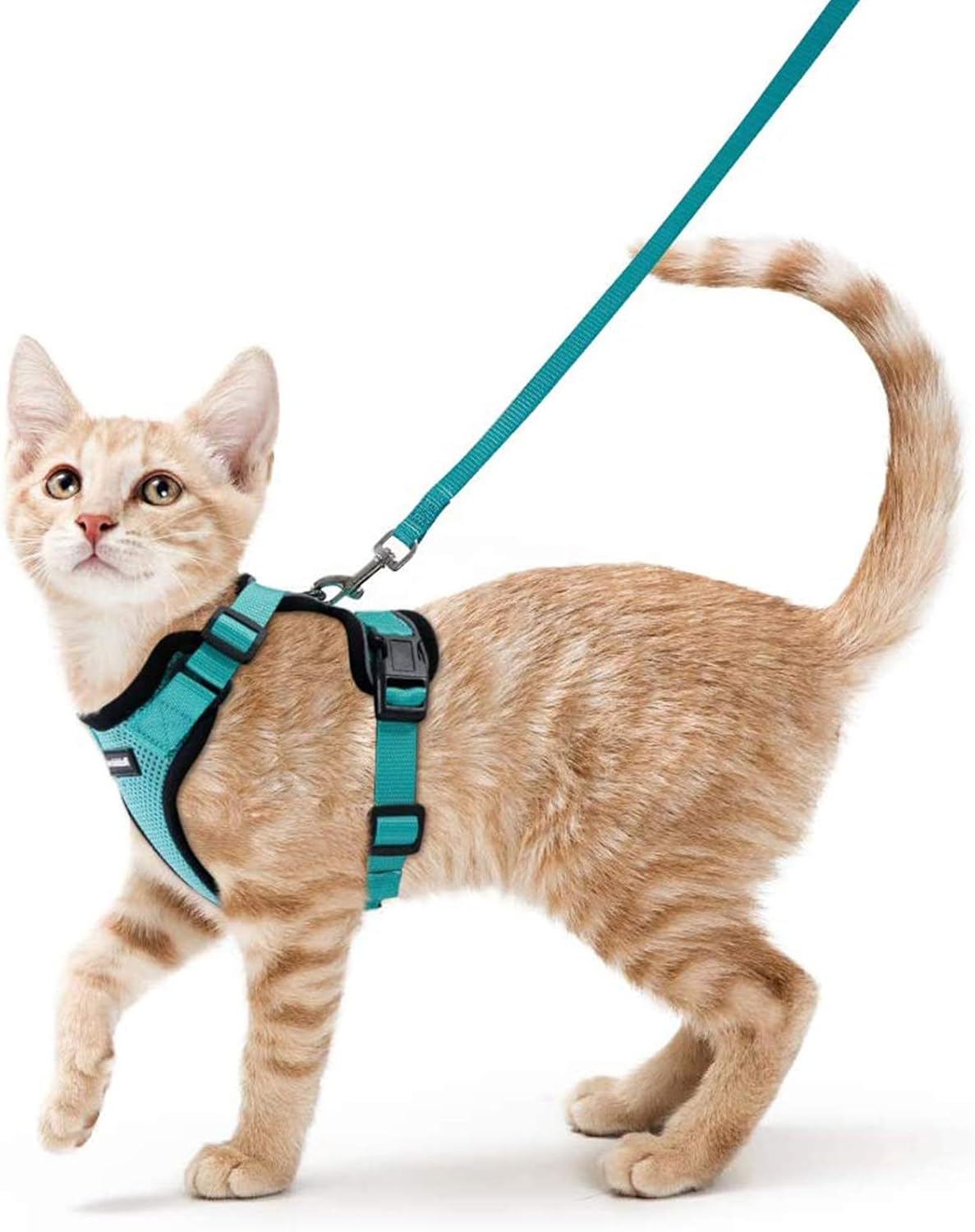 rabbitgoo Cat Harness and Lead Set, Escape Proof | ObaPet