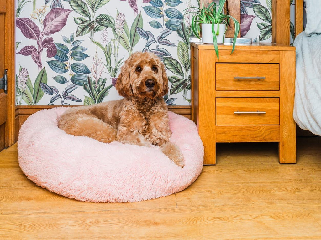 Woof & Whiskers Donut Beds For Dogs Grey Dog Bed | ObaPet