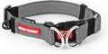 EZYDOG Double Up Dog Collar | ObaPet