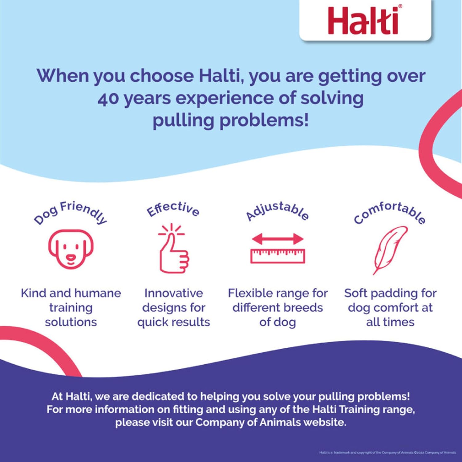 HALTI Training Lead | ObaPet