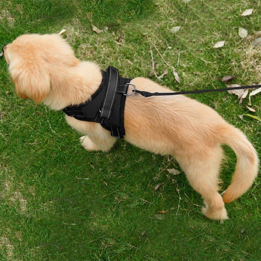 Dog Harness Mesh Breathable Comfortable Pet Vest | ObaPet
