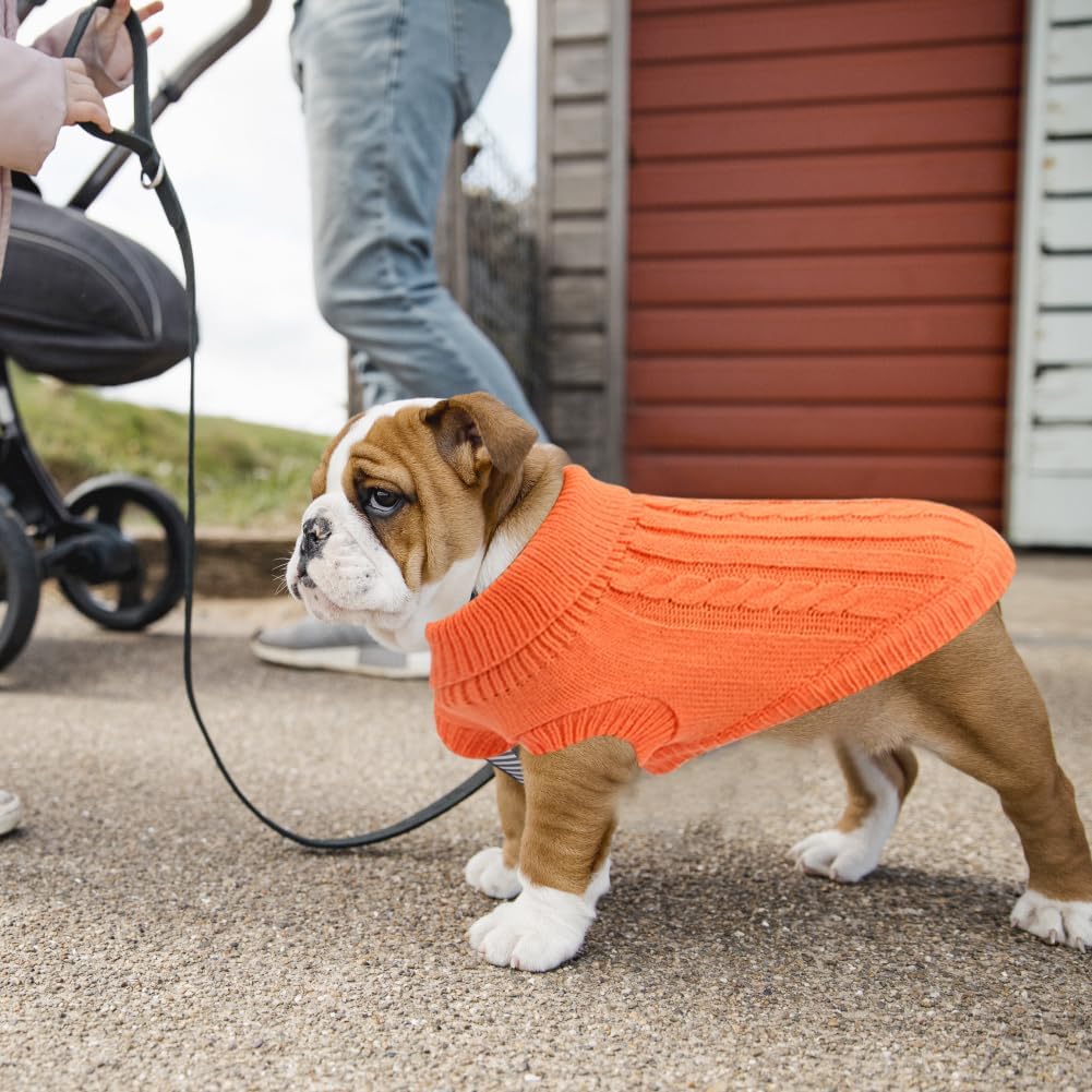 Small Dog Jumper, Warm Puppy Sweater for Small | ObaPet