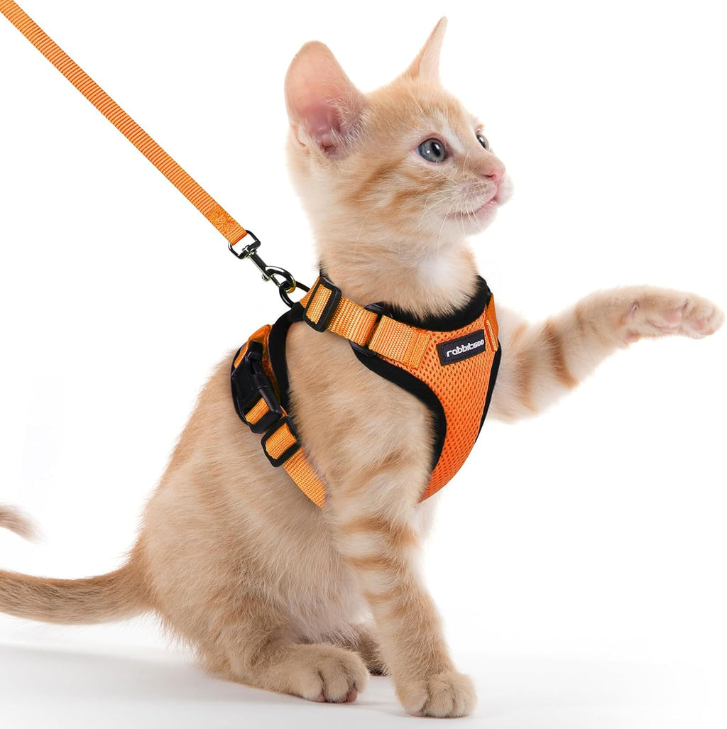 rabbitgoo Cat Harness and Lead Set, Escape Proof | ObaPet