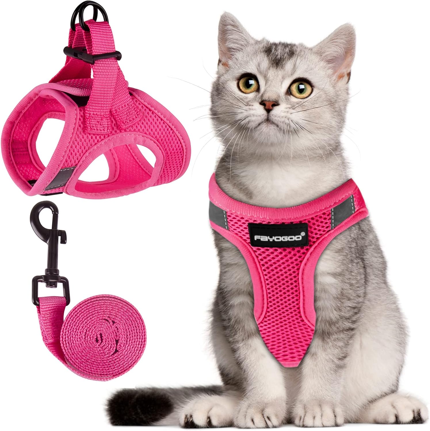 FAYOGOO Cat Harness and Lead Set, Cat Harness | ObaPet
