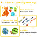 10 Pack Luxury Puppy Toys for Teething Small | ObaPet