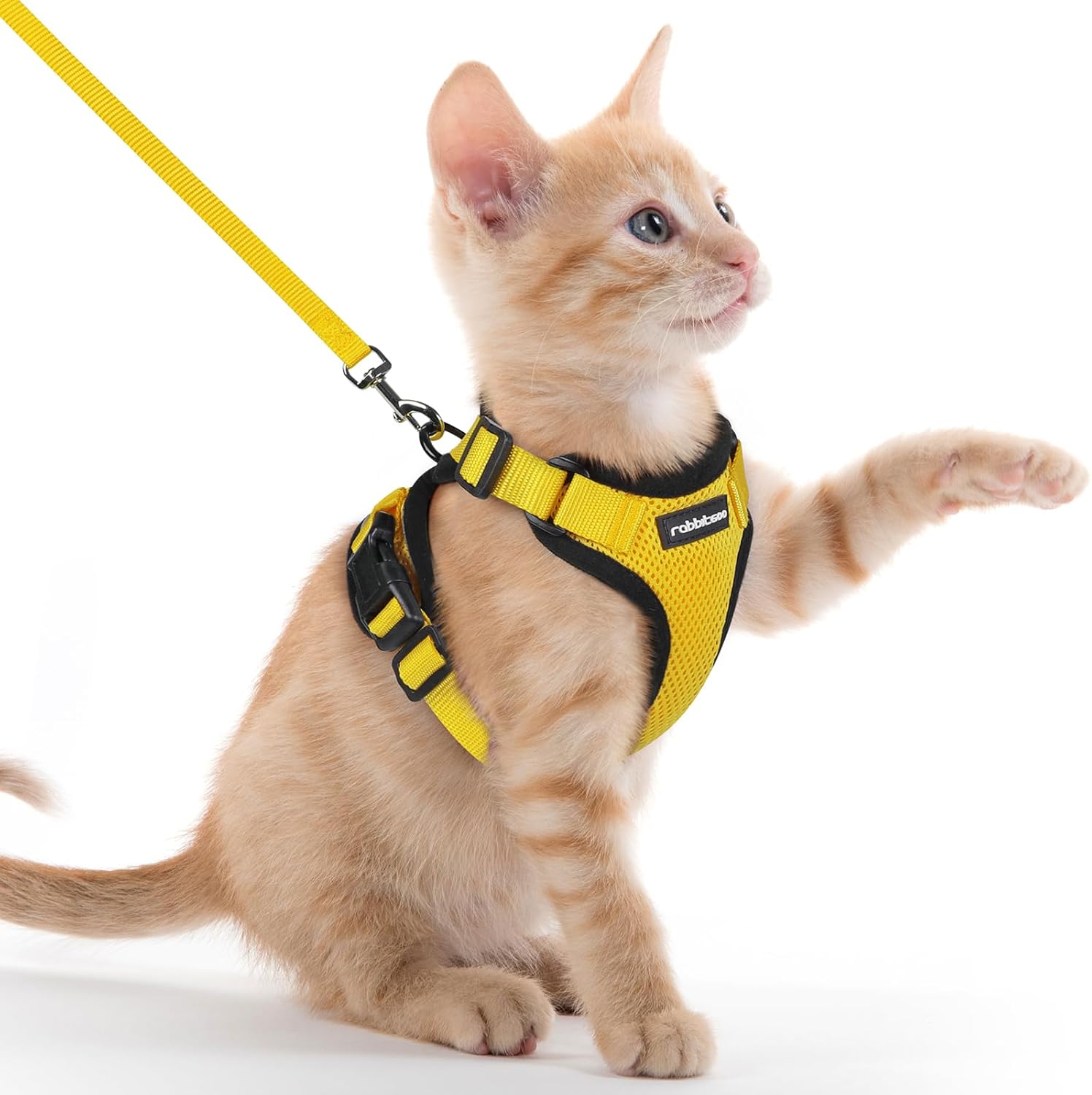 rabbitgoo Cat Harness and Lead Set, Escape Proof | ObaPet