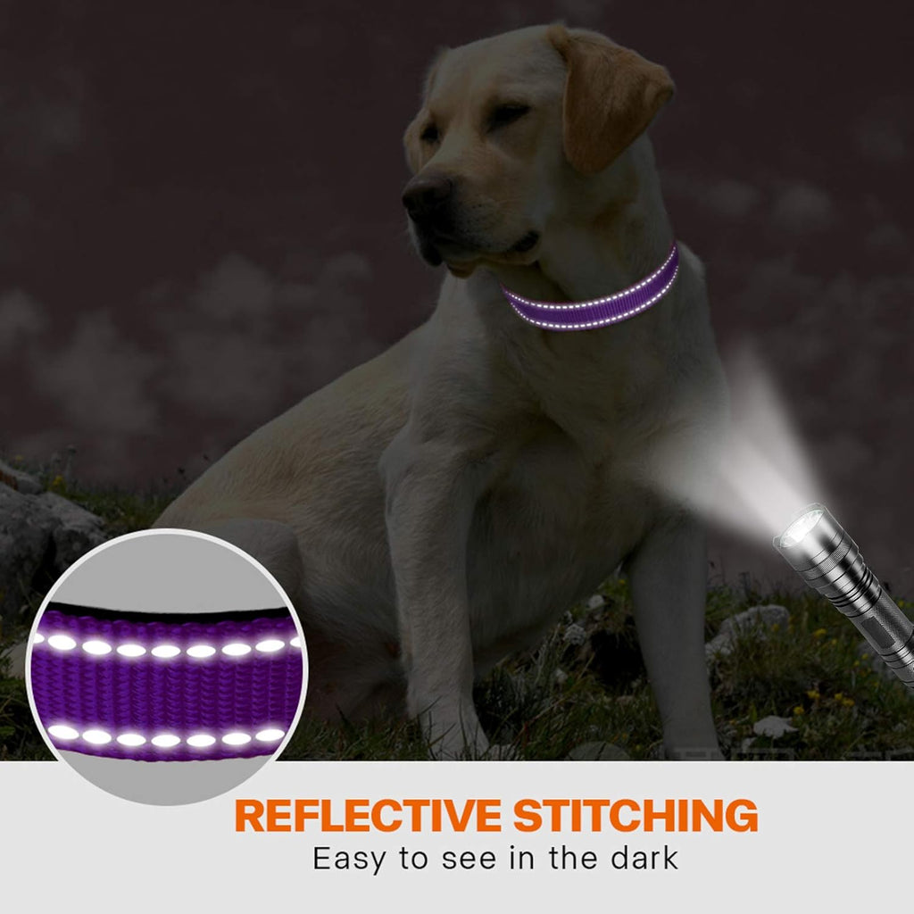 Taglory Reflective Nylon Dog Collar with Safety | ObaPet
