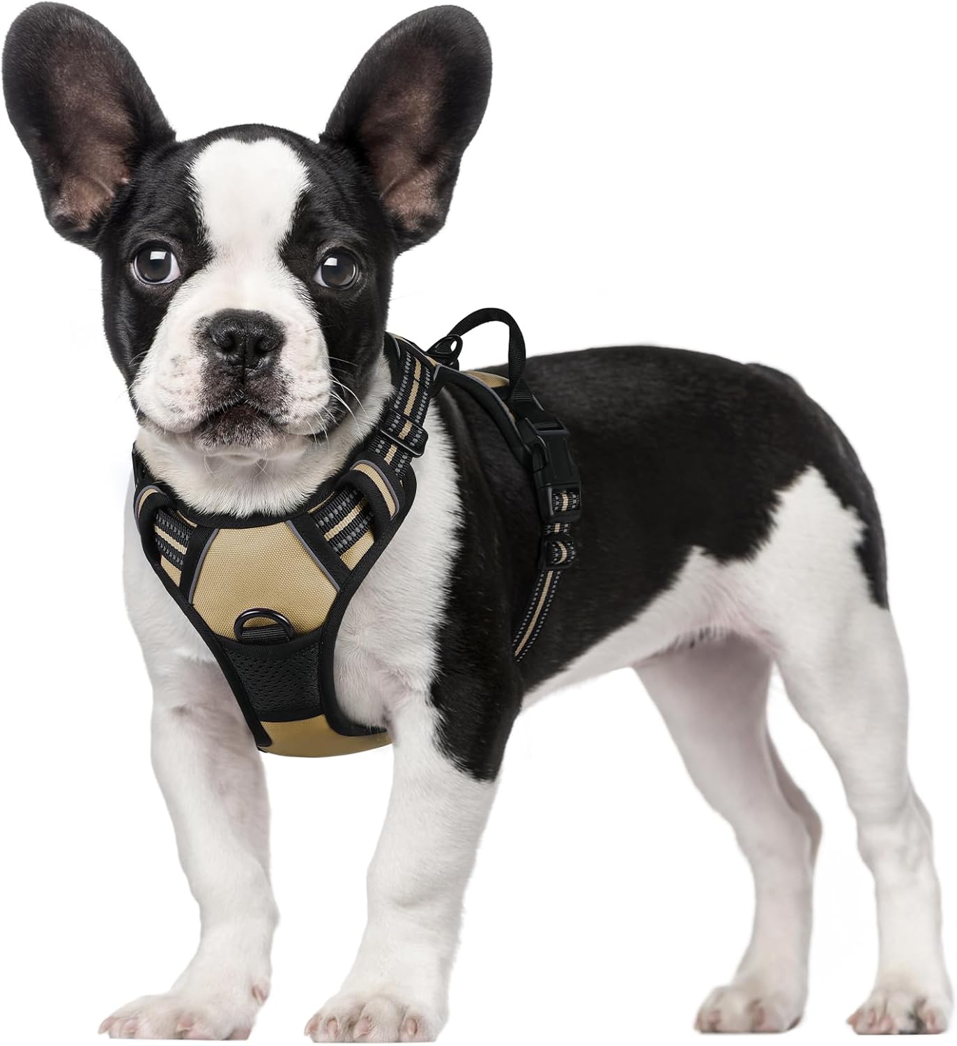 rabbitgoo Dog Harness Dog No Pull Pet Harness | ObaPet