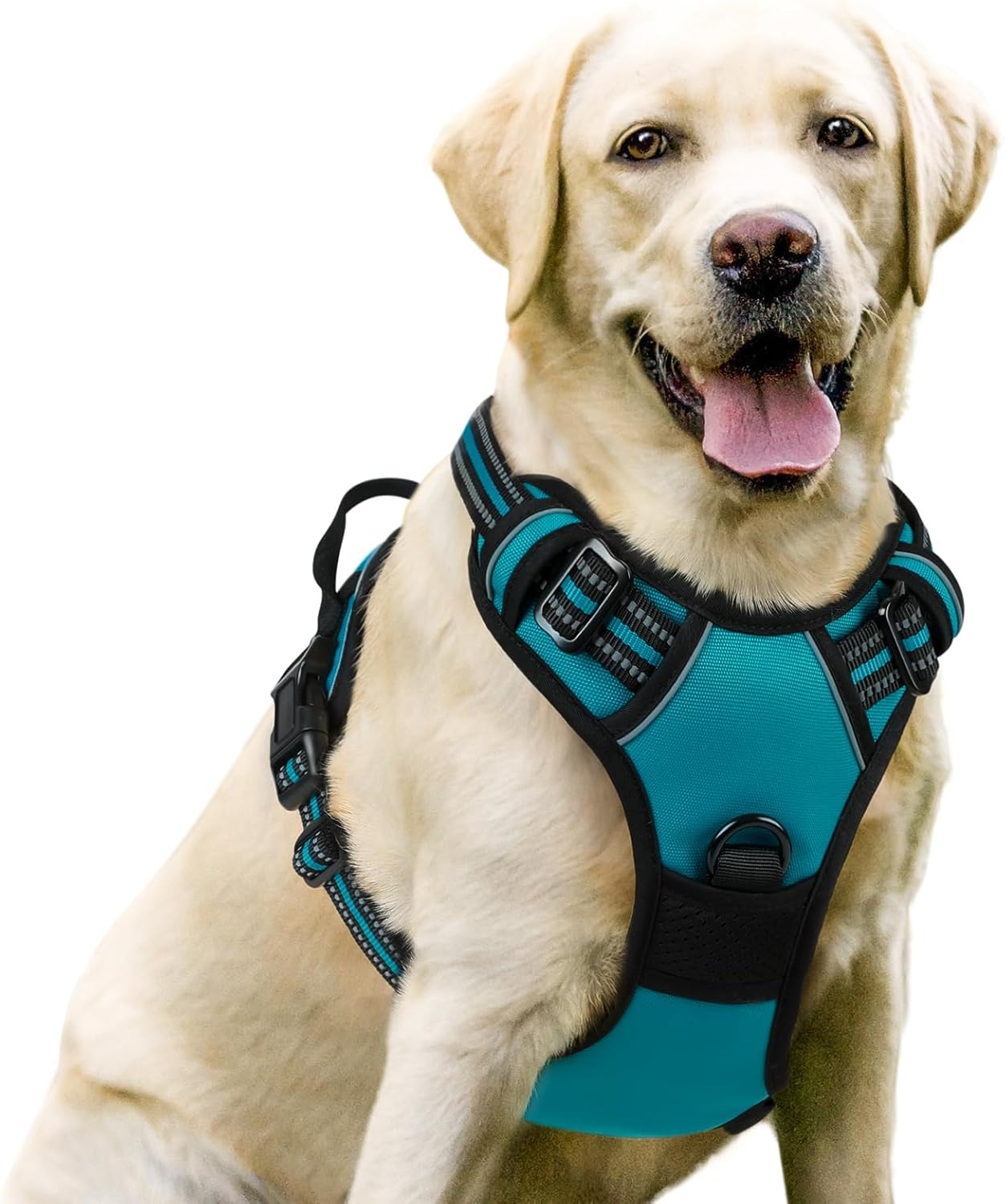 rabbitgoo Dog Harness Dog No Pull Pet Harness | ObaPet