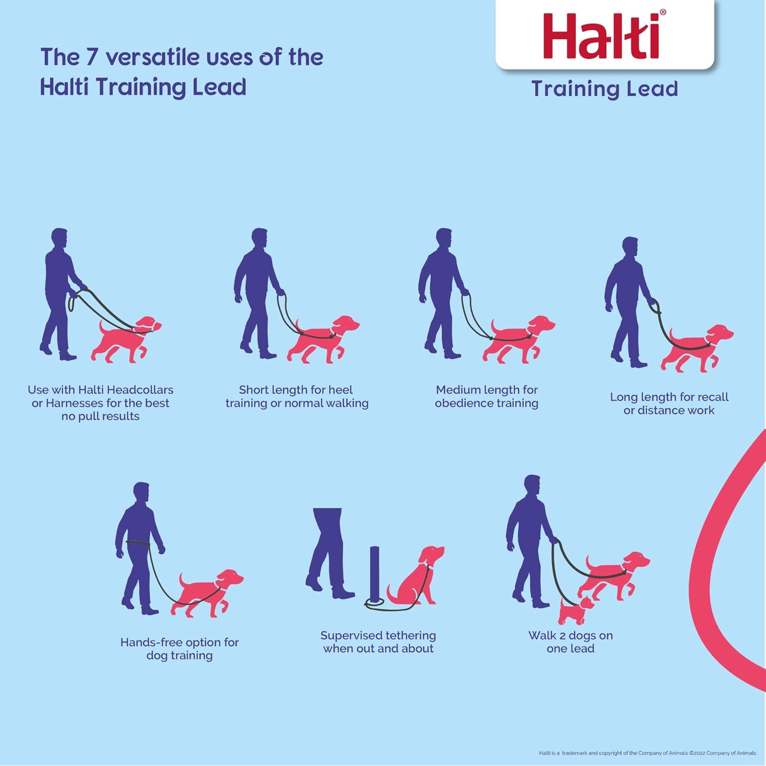 HALTI Training Lead | ObaPet