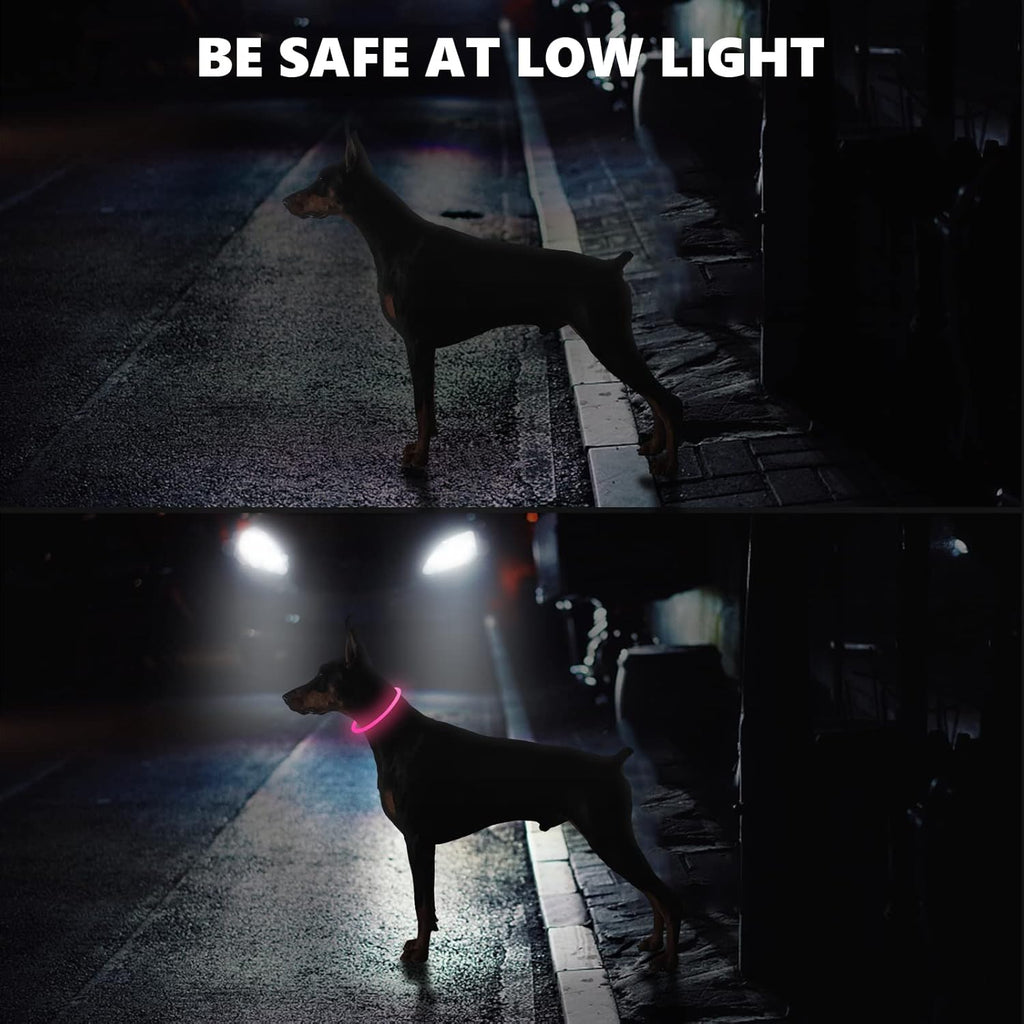 SerDa-Run Light Up Dog Collar, Dog Collar Lights | ObaPet