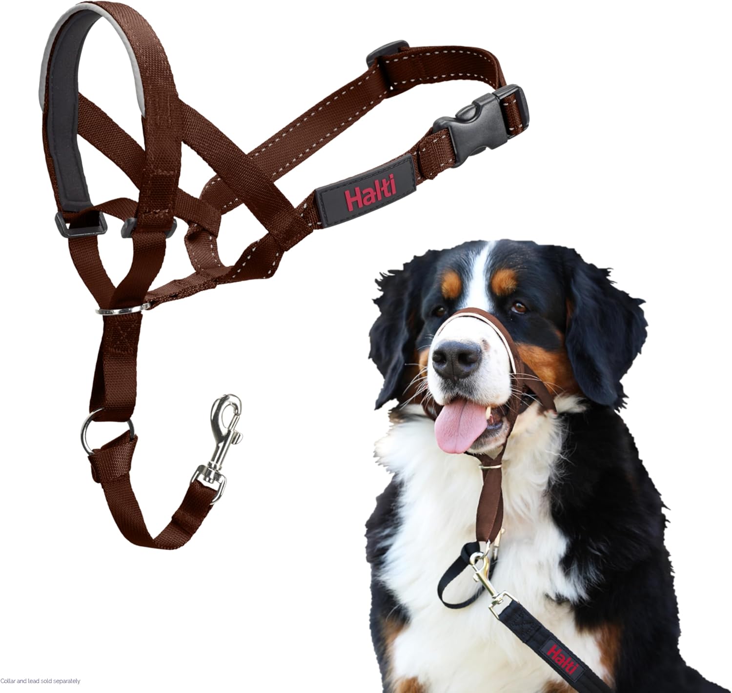 HALTI Headcollar, UK Bestselling Harness to Stop | ObaPet