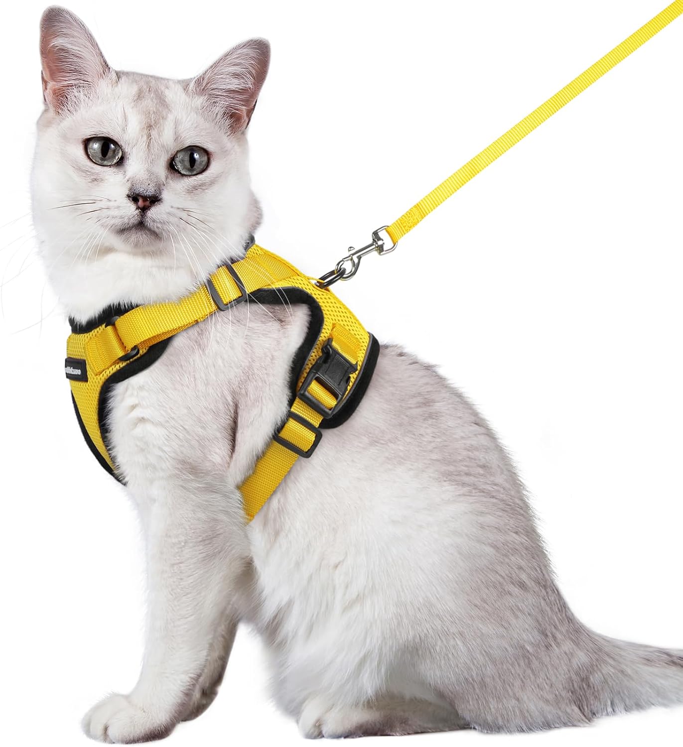 rabbitgoo Cat Harness and Lead Set, Escape Proof | ObaPet