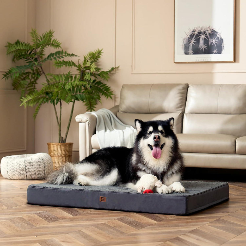 EHEYCIGA Orthopedic Dog Beds Small, Medium, | ObaPet
