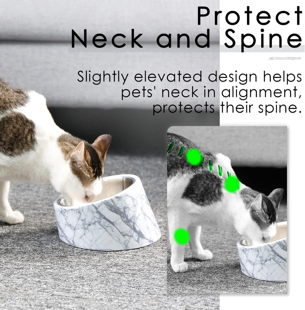 SuperDesign Mess Free 15° Slanted Bowl for Dogs | ObaPet