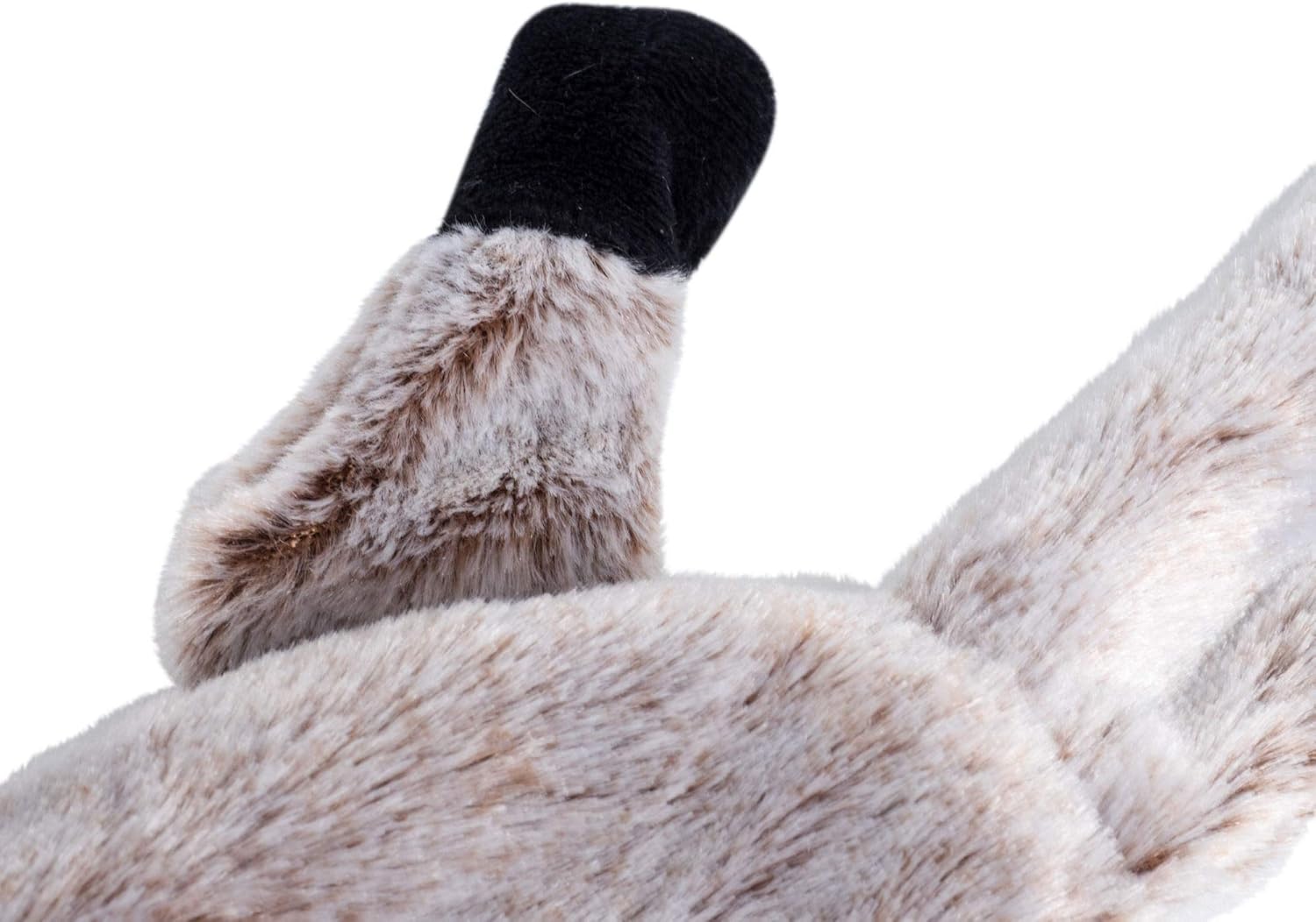 Petface Heston Hedgehog Plush Dog Toy (Pack of | ObaPet