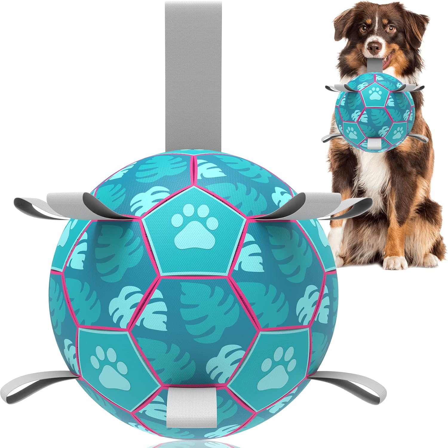 HETOO Interactive Dog Football Toys with Grab Tabs, Durable Dog Water Balls for Small Medium Breed, Indoor & Outdoor