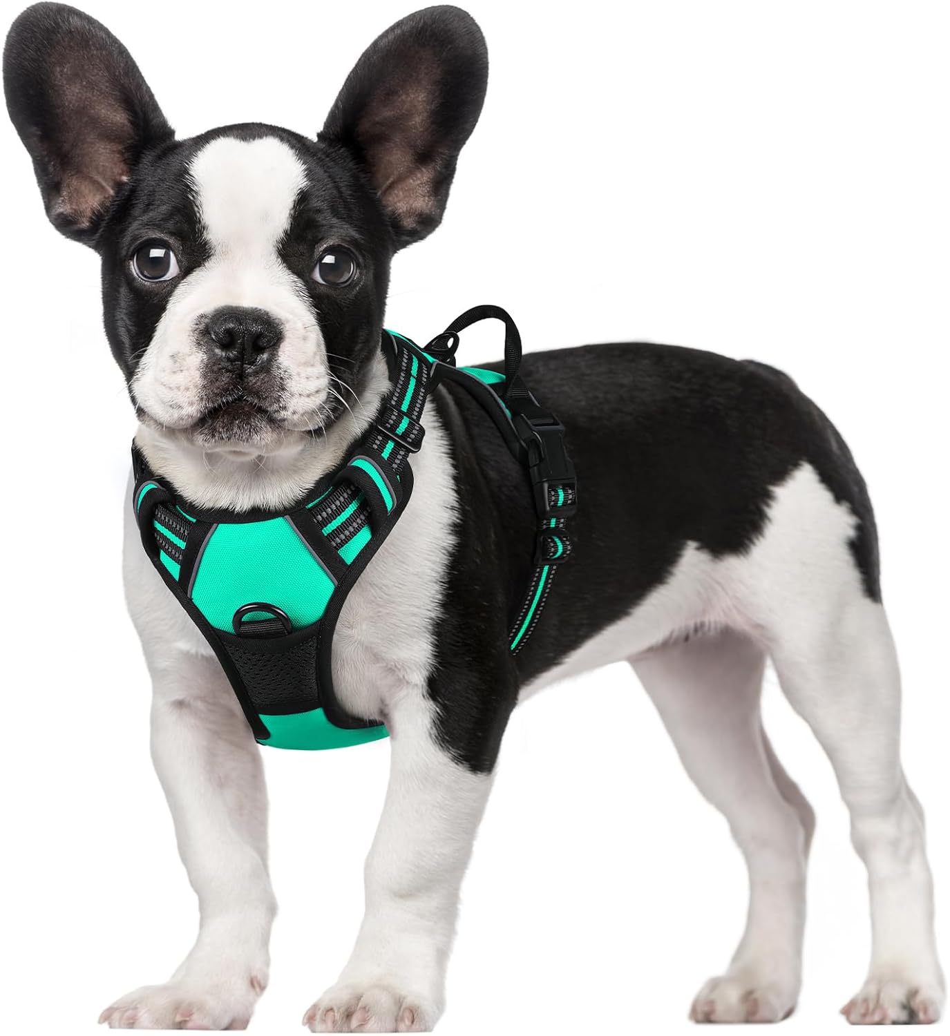 rabbitgoo Dog Harness Dog No Pull Pet Harness | ObaPet