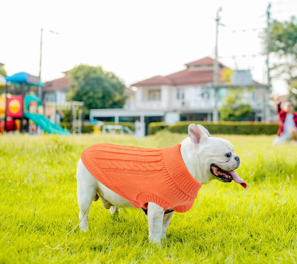 Small Dog Jumper, Warm Puppy Sweater for Small | ObaPet
