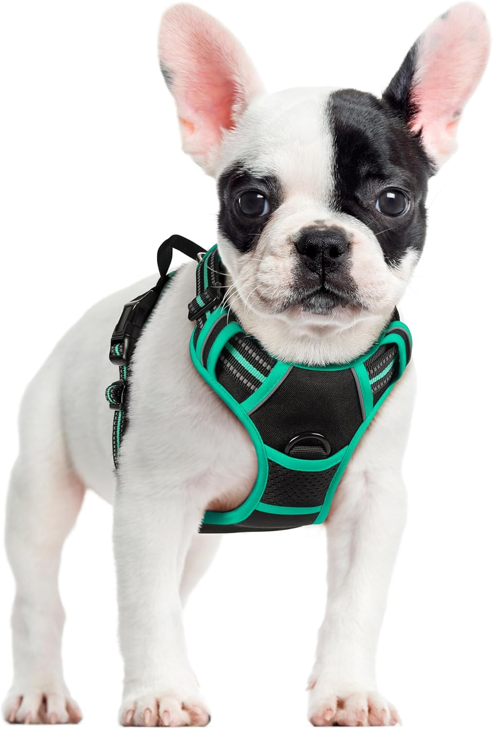 rabbitgoo Dog Harness Dog No Pull Pet Harness | ObaPet