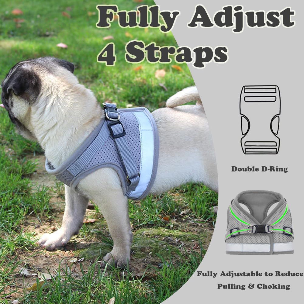 Anlitent Soft Mesh No Pull Cat Harness and Lead | ObaPet
