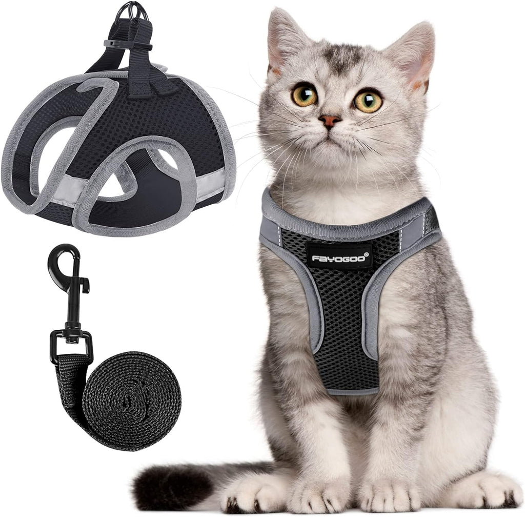 FAYOGOO Cat Harness and Lead Set, Cat Harness | ObaPet