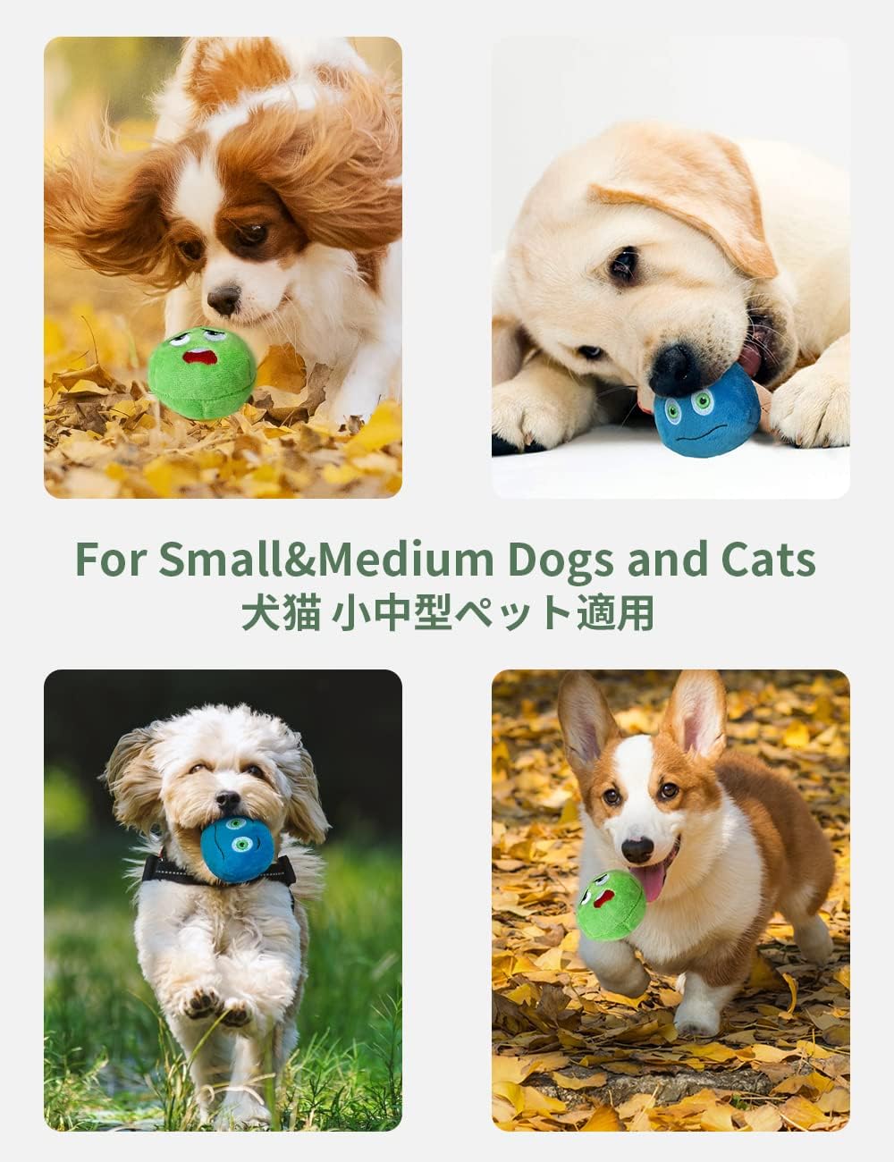 TONGKTAI Dog Toys, Soft Stuffed Plush Balls Pet Chew Squeake Toy, Interactive Fetch Play for Small Medium Pets (8 pack)