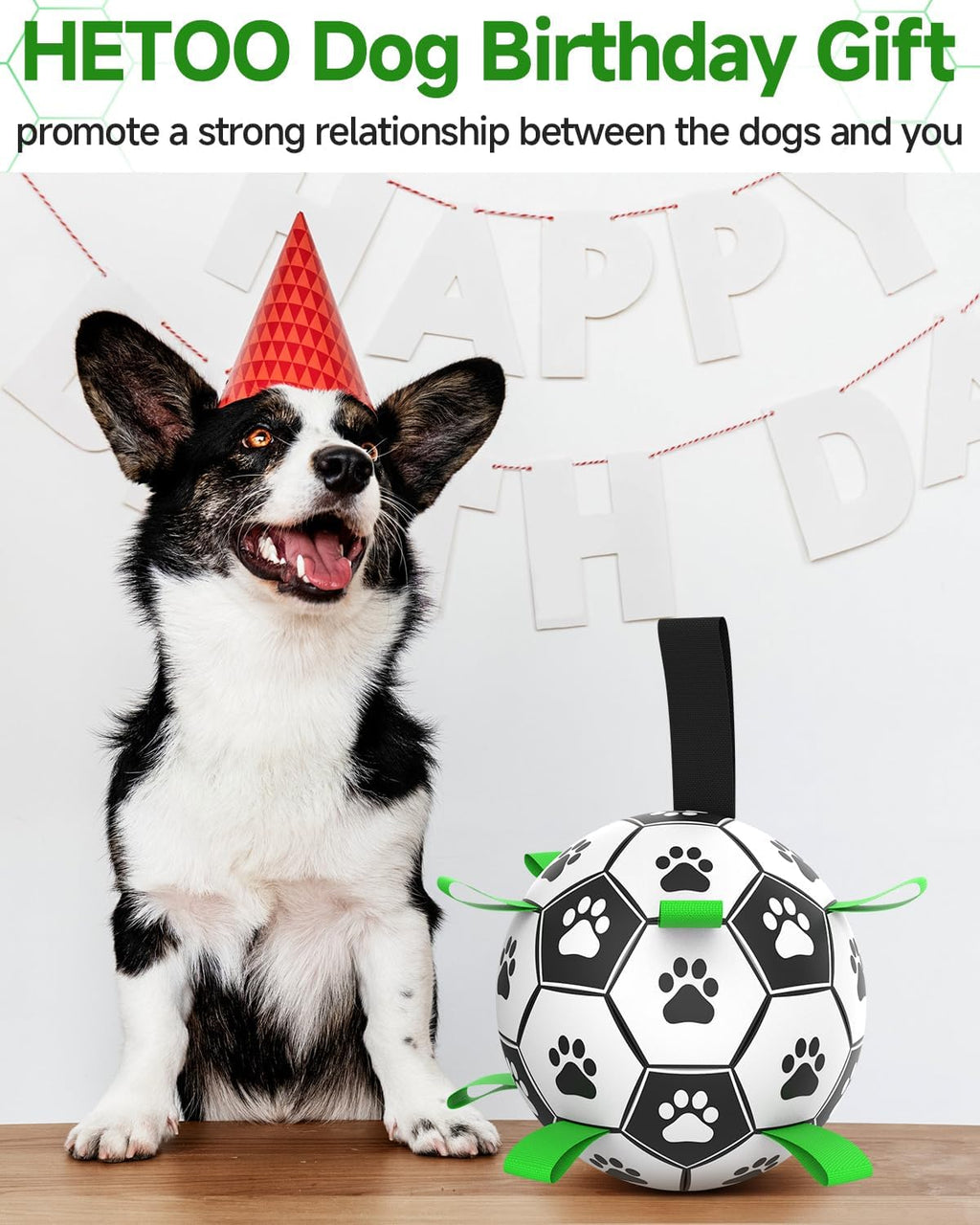 HETOO Interactive Dog Football Toys with Grab Tabs, Durable Dog Water Balls for Small Medium Breed, Indoor & Outdoor