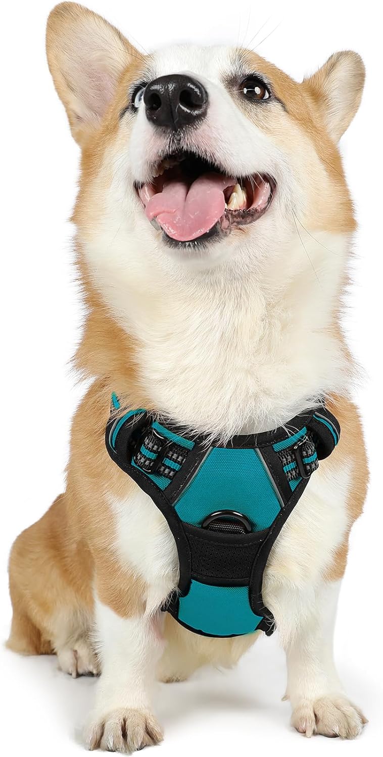 rabbitgoo Dog Harness Dog No Pull Pet Harness | ObaPet