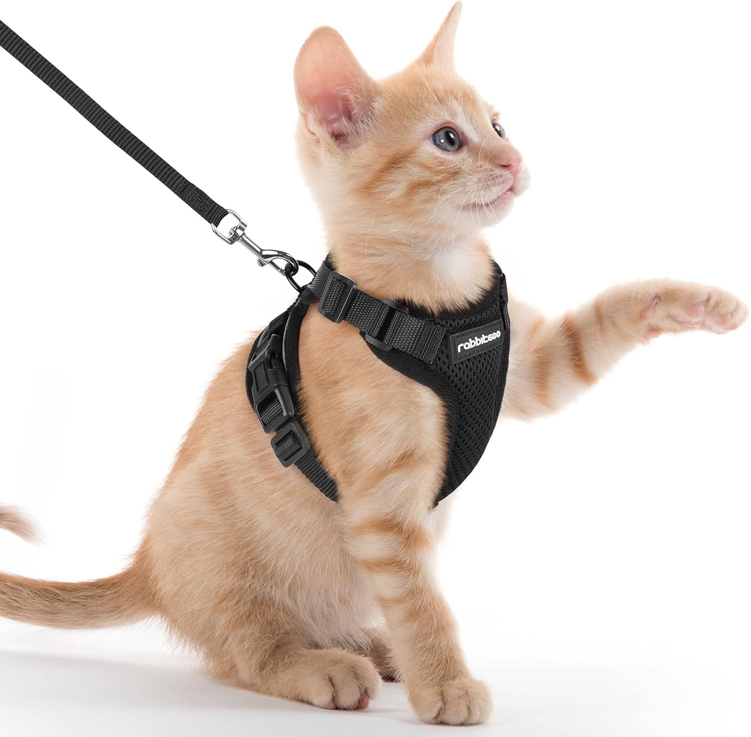 rabbitgoo Cat Harness and Lead Set, Escape Proof | ObaPet