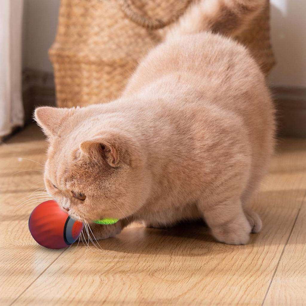 Speedy Tail Cat Toy, Speedy Tail 2.0, Smart | ObaPet