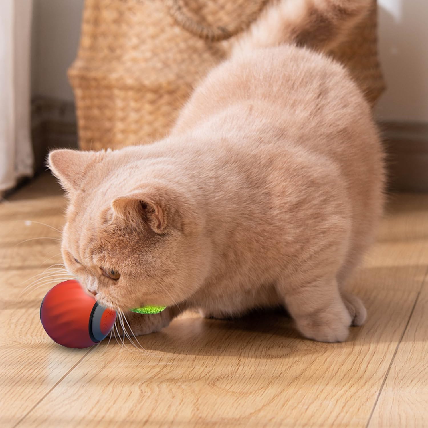 Speedy Tail Cat Toy, Speedy Tail 2.0, Smart | ObaPet