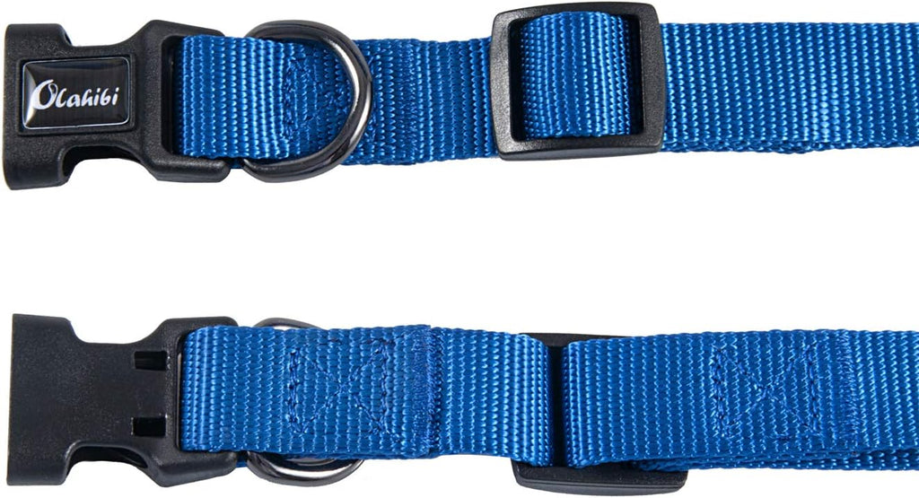 Olahibi Daisy Pattern Dog Collar and Leash | ObaPet