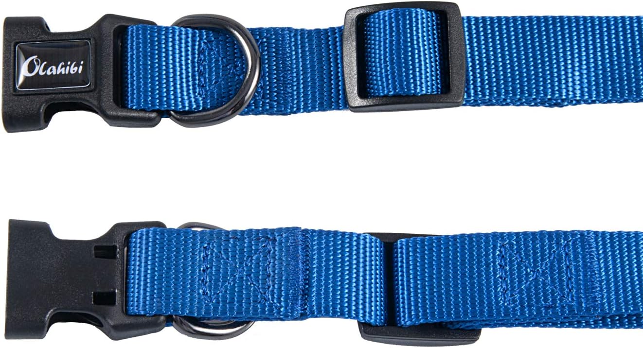 Olahibi Daisy Pattern Dog Collar and Leash | ObaPet