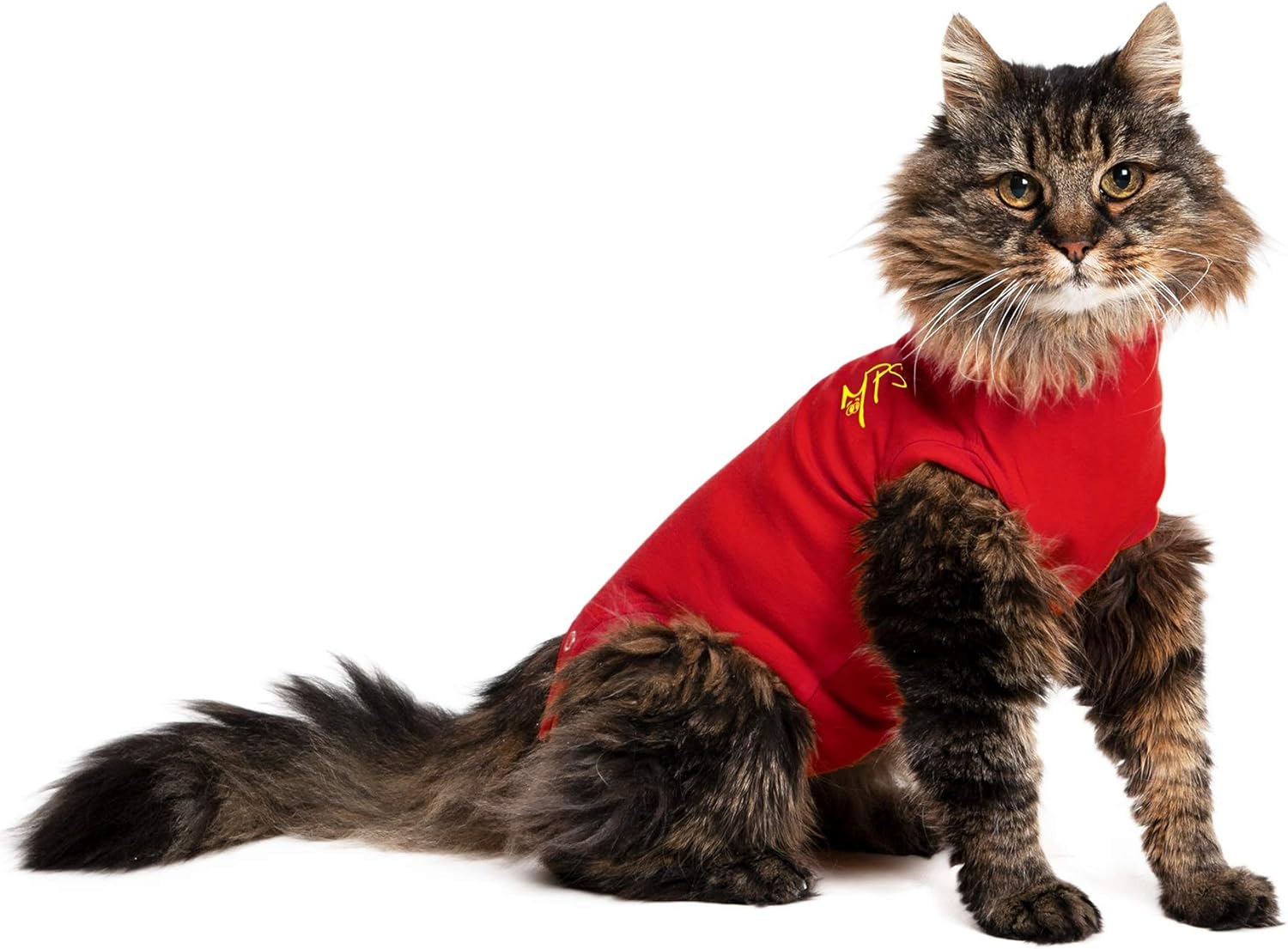 MPS Medical Pet Shirt Cat, Surgery Recovery | ObaPet