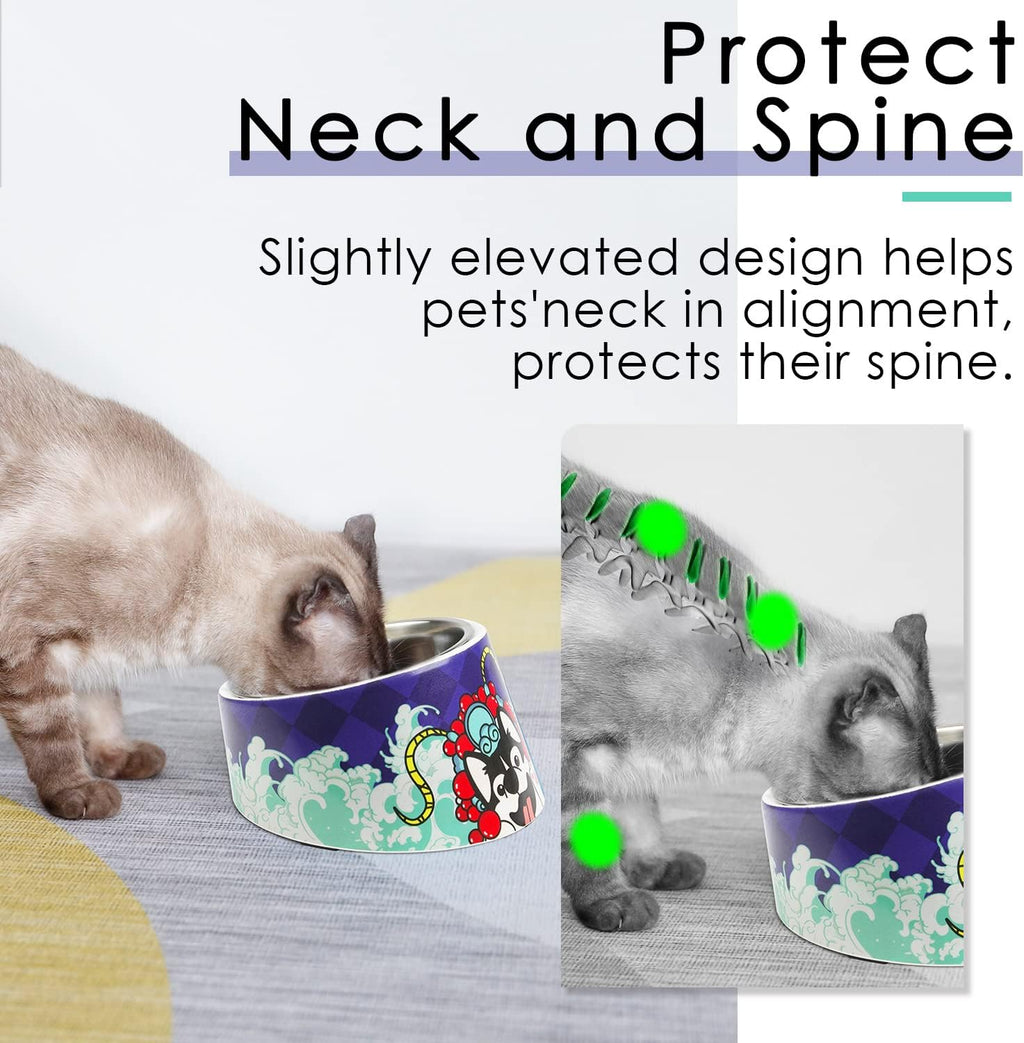 SuperDesign Mess Free 15° Slanted Bowl for Dogs | ObaPet