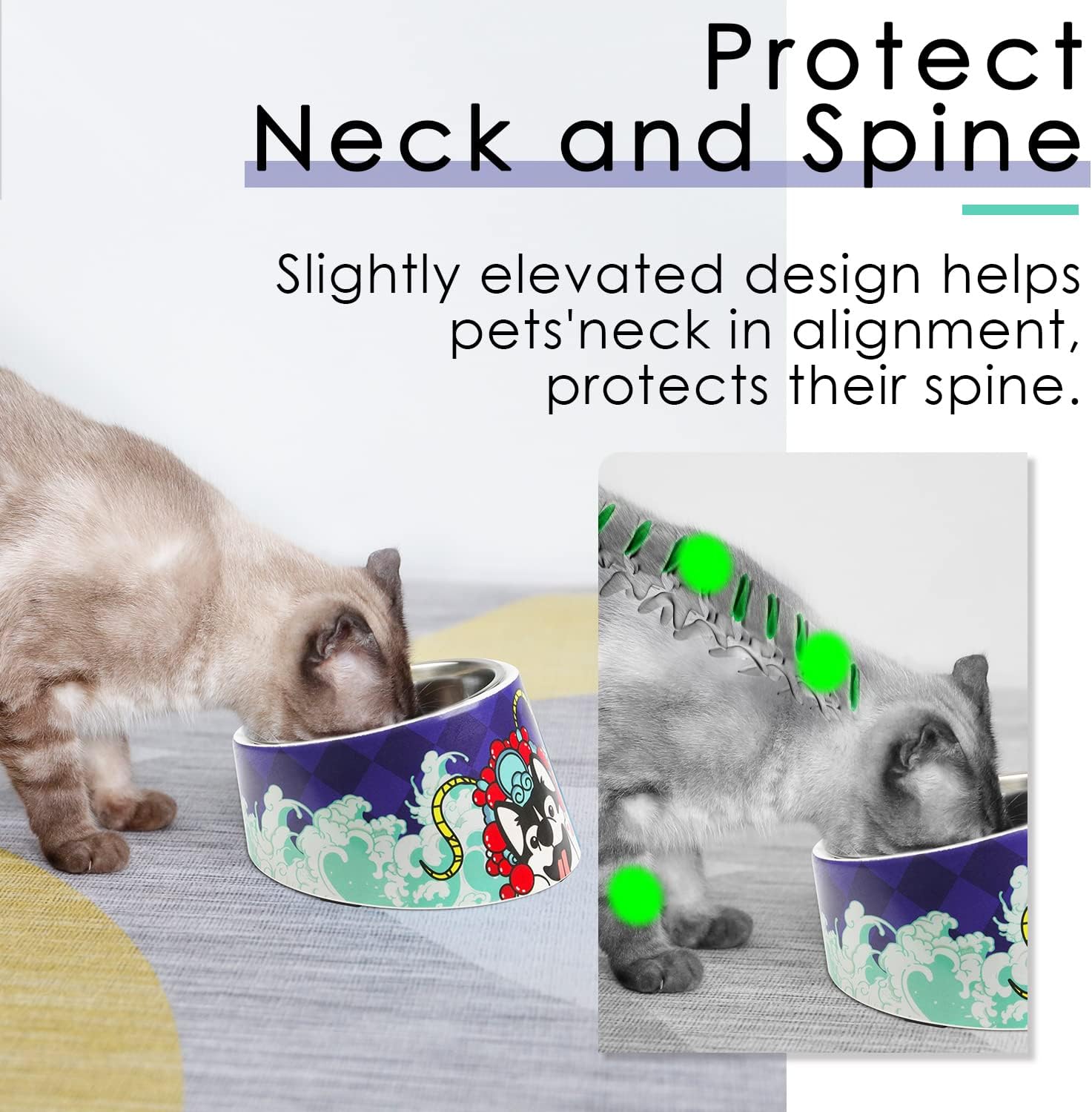 SuperDesign Mess Free 15° Slanted Bowl for Dogs | ObaPet