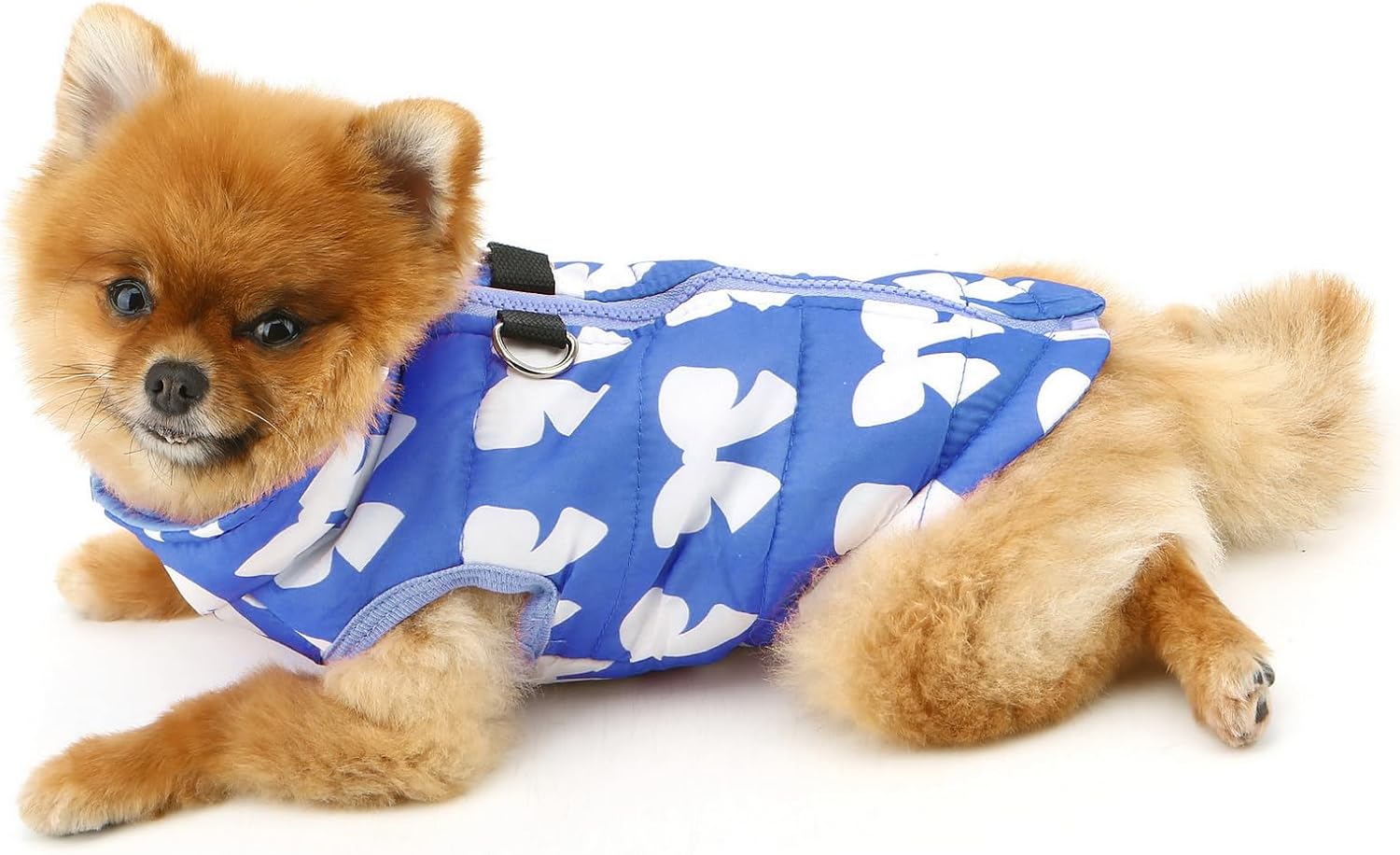 SMALLLEE_LUCKY_STORE Small Dog Cat Winter Coat Harness Jacket with D-ring Boy Girl Pet Puppy Comfort Padded Bomber Vest No Pull Chihuahua Clothes Pink Bows XS