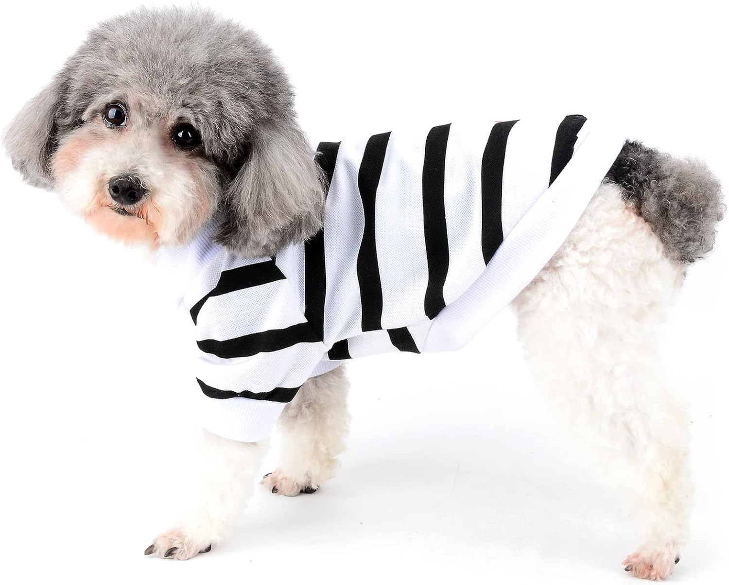 Zunea Dog Shirts for Small Dogs Summer Basic T-Shirt Striped Puppy Clothes Sequins Love Heart Sweatshirt Soft Cotton Short Sleeve Tee Shirt Pet Girl Boy Clothing Pullover Chihuahua Apparel Gray S