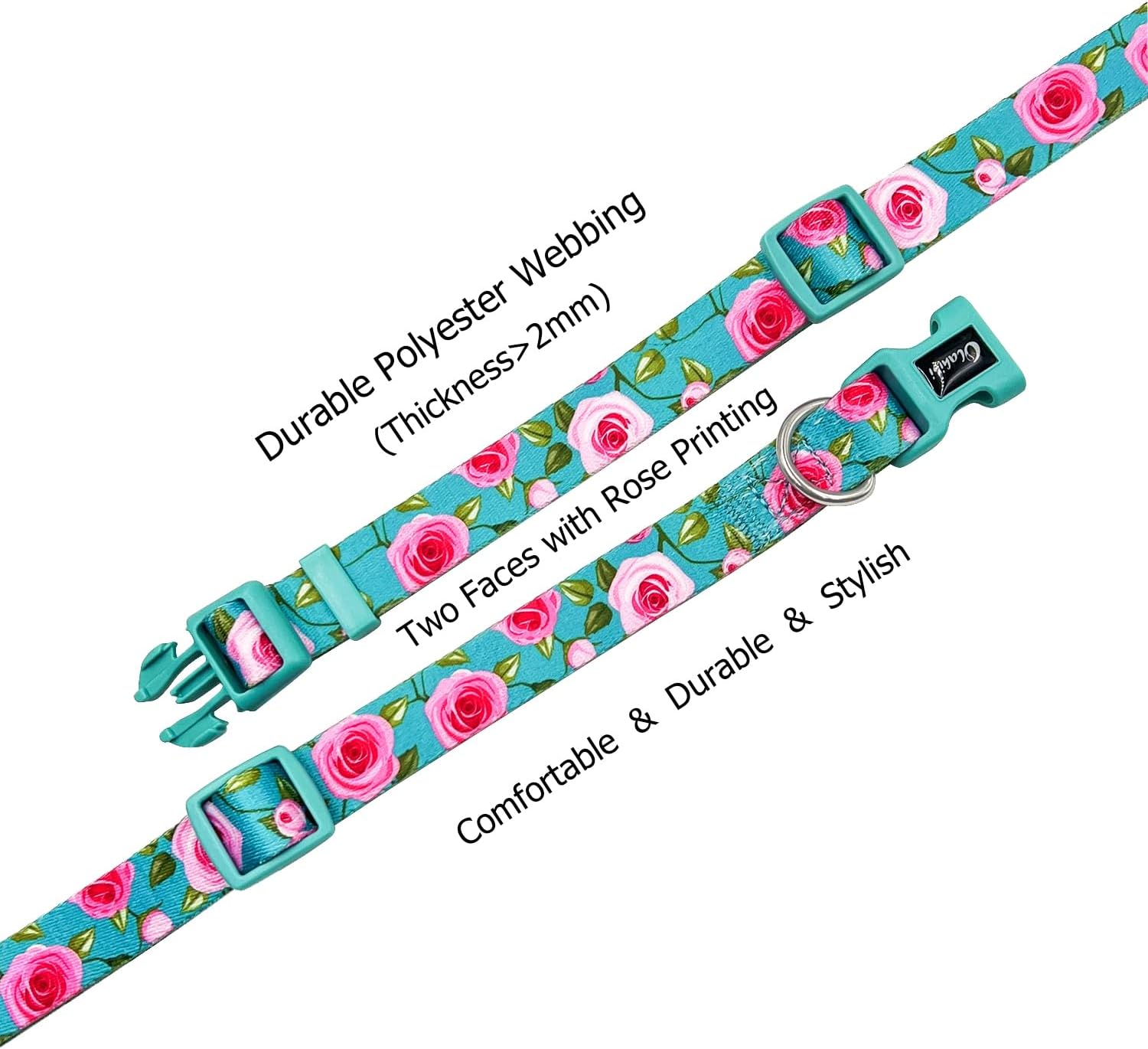Olahibi Daisy Pattern Dog Collar and Leash | ObaPet