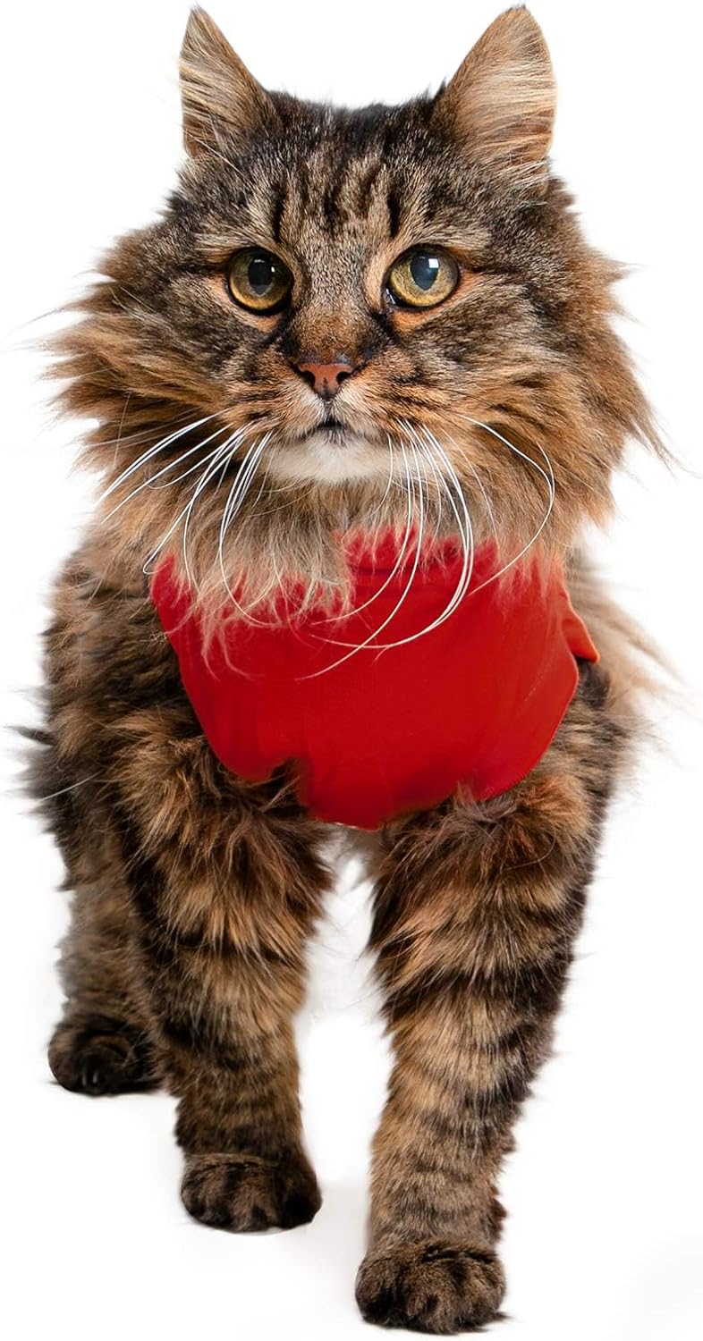 MPS Medical Pet Shirt Cat, Surgery Recovery | ObaPet