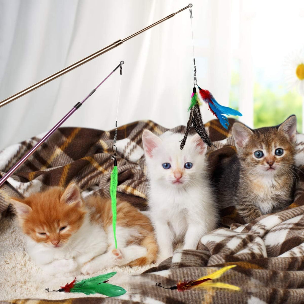 Bojafa Cat Toys For Indoor Cats Adult | ObaPet
