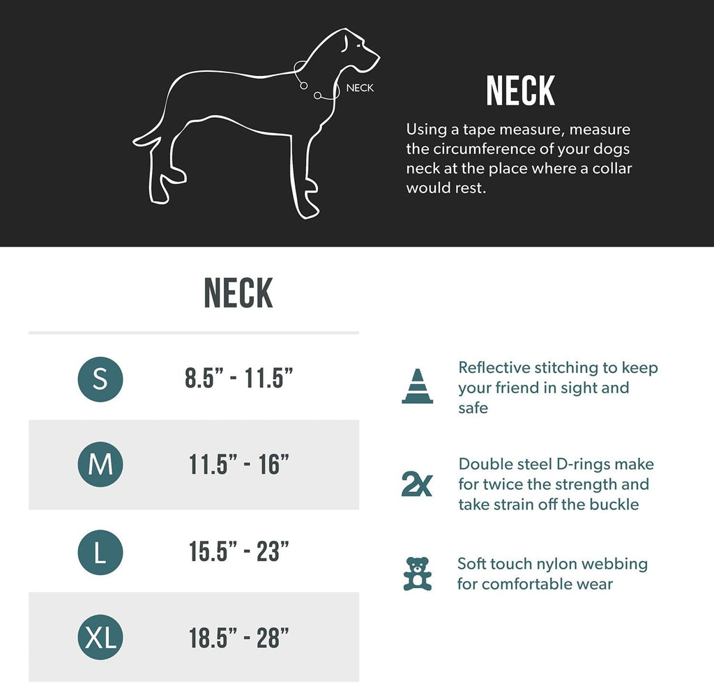 EZYDOG Double Up Dog Collar | ObaPet